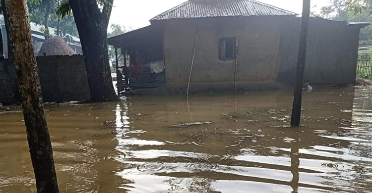 হঠাৎ পাহাড়ি ঢলে তলিয়ে গেছে শায়েস্তাগঞ্জের নিম্নাঞ্চল