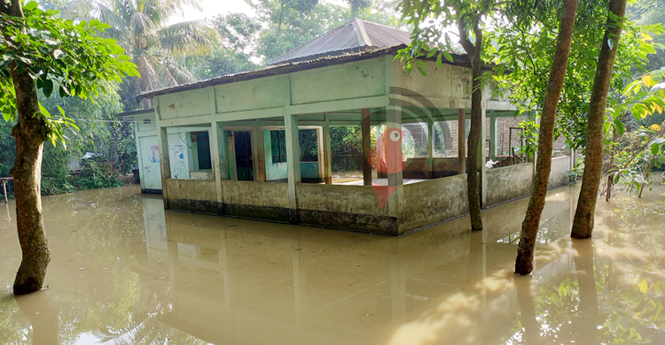 কুশিয়ারার পানিতে প্লাবিত ৬ গ্রাম, পানিবন্দি ৬০০ পরিবার