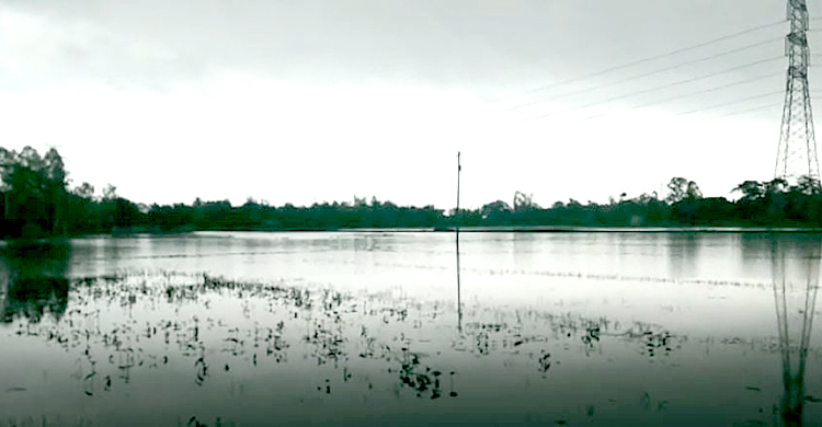 হবিগঞ্জে বন্যায় তলিয়ে গেছে ২১ হাজার হেক্টর ফসল