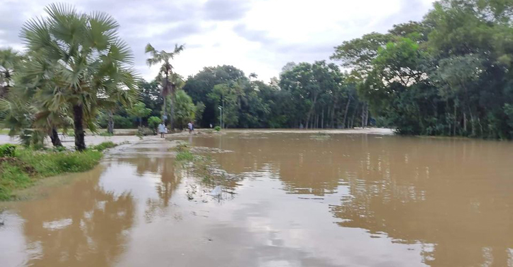 Flood-(1).jpg
