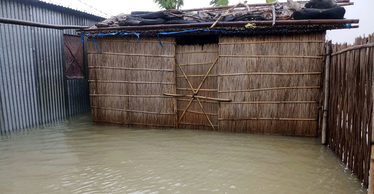 ব্রহ্মপুত্র ও ধরলার পানিতে বন্দি কুড়িগ্রামের দেড় লাখ মানুষ