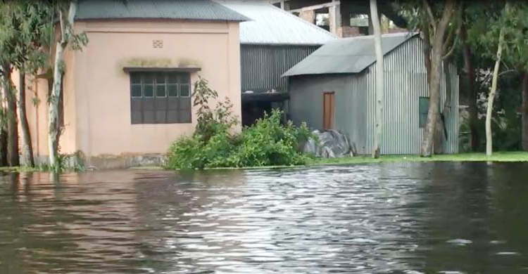 মানিকগঞ্জে প্লাবিত হচ্ছে নতুন নতুন এলাকা