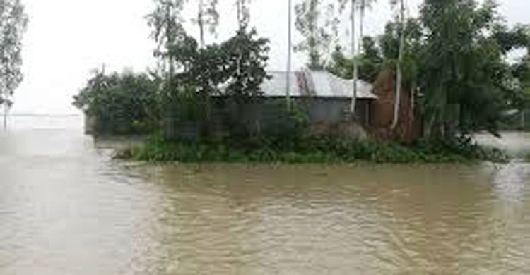 কালিহাতীতে পানিতে ডুবে দুই শিশুর মৃত্যু