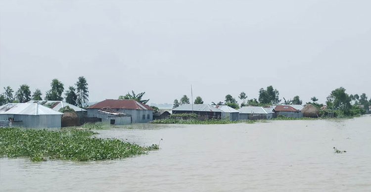 পাশের বাড়ি থেকে ঘরে এসে মা দেখলেন পুকুরে সন্তানের লাশ