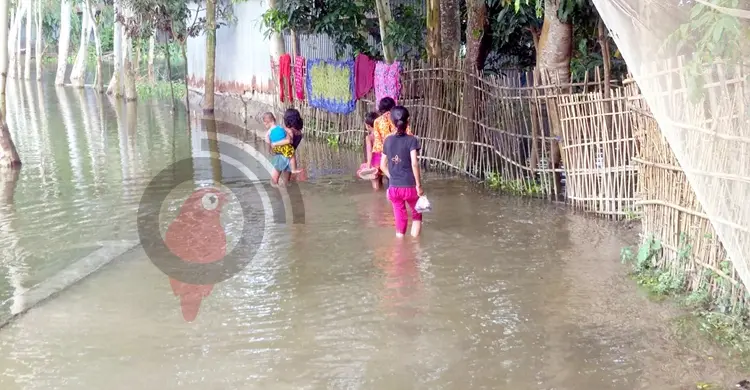 বন্যা পরিস্থিতি উন্নতির দিকে