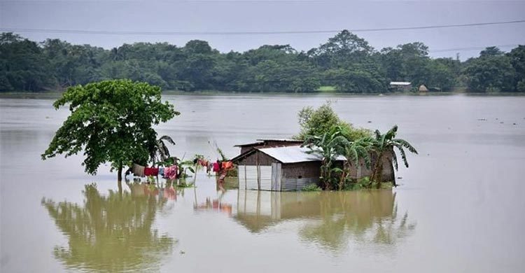 Flood claims 4 more lives