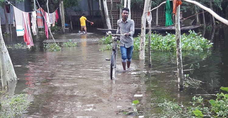কমছে তিস্তার পানি বাড়ছে মানুষের দুর্ভোগ