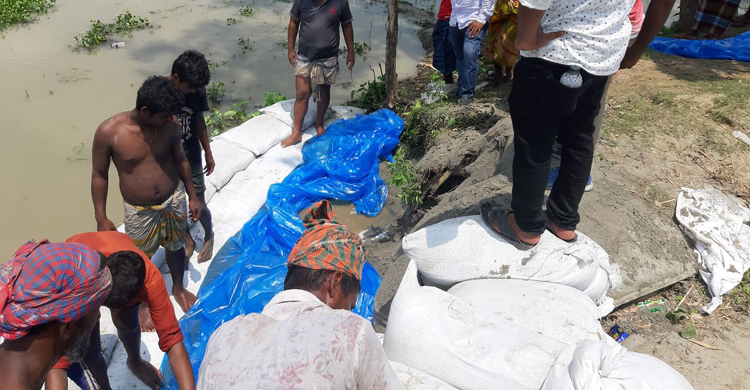 টাঙ্গাইলে যমুনার বাঁধে একাধিক ছিদ্র