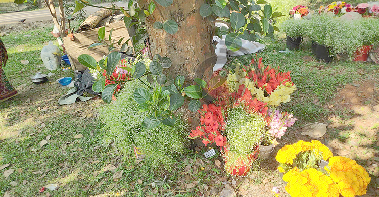 ফুলের বাজার চড়া: পাইকারিতে একটি গোলাপ ৩০ টাকা