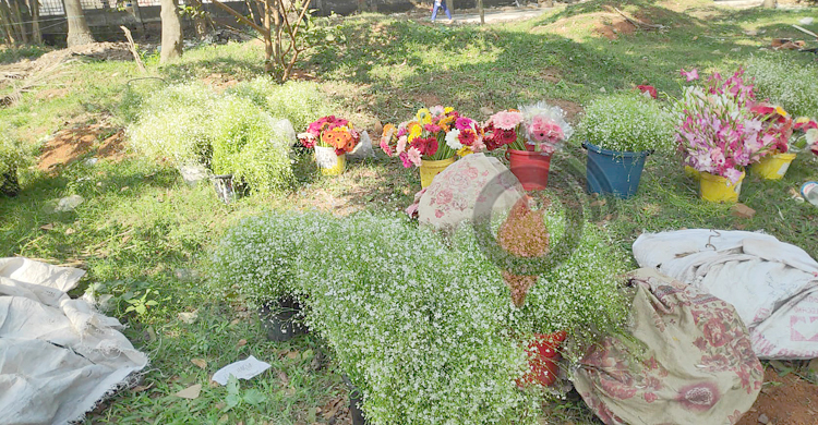 ফুলের বাজার চড়া: পাইকারিতে একটি গোলাপ ৩০ টাকা