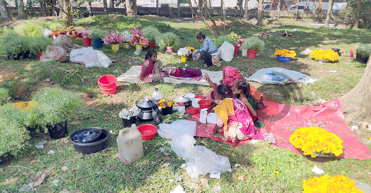 ফুলের বাজার চড়া: পাইকারিতে একটি গোলাপ ৩০ টাকা