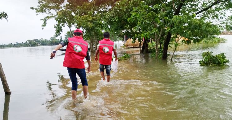 বন্যার্তদের পাশে রেড ক্রিসেন্ট
