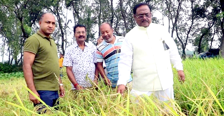 সরকারের উদ্যোগে চালের দাম কমছে: খাদ্যমন্ত্রী