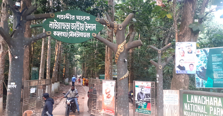 লাউয়াছড়ায় এক মাসে সাড়ে তিন লাখ টাকা রাজস্ব আয়