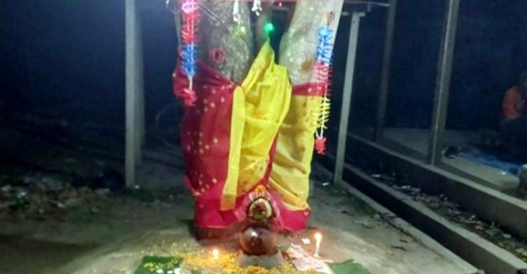 ধুমধাম করে বট-পাকুড়ের বিয়ে, দাওয়াত খেলেন ৫০০ মানুষ