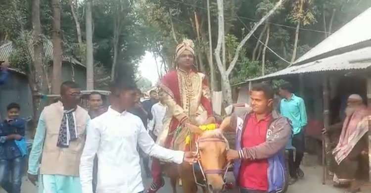 ঘোড়ায় চড়ে বিয়ে করতে এলেন বর