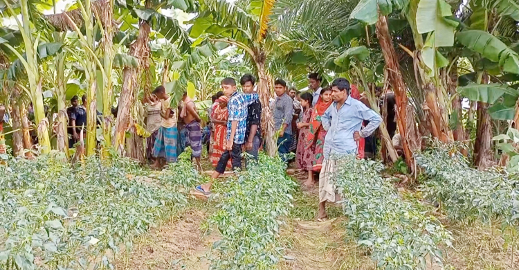 ব্যবসায়ীকে হত্যার পর ৬ লাখ টাকা ‘লুট’