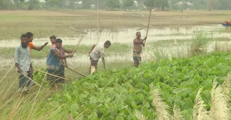 ফরিদপুরে কুমির আতঙ্কে গ্রামবাসী, জলাধারে পাহারা