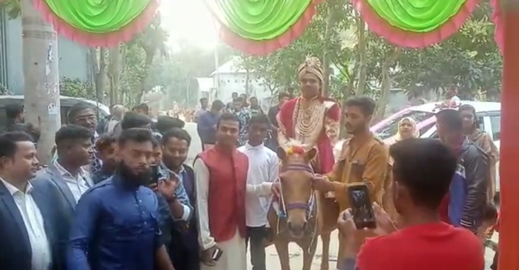 ঘোড়ায় চড়ে বিয়ে করতে এলেন বর