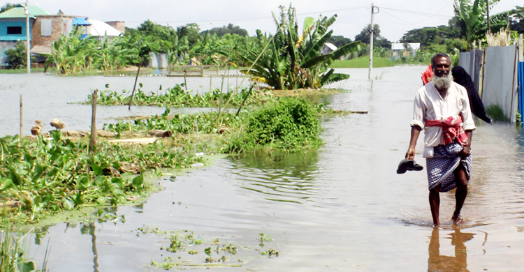 ফরিদপুরে বন্যায় ভেসে গেছে মাছ, ৪ কোটি টাকার ক্ষতি