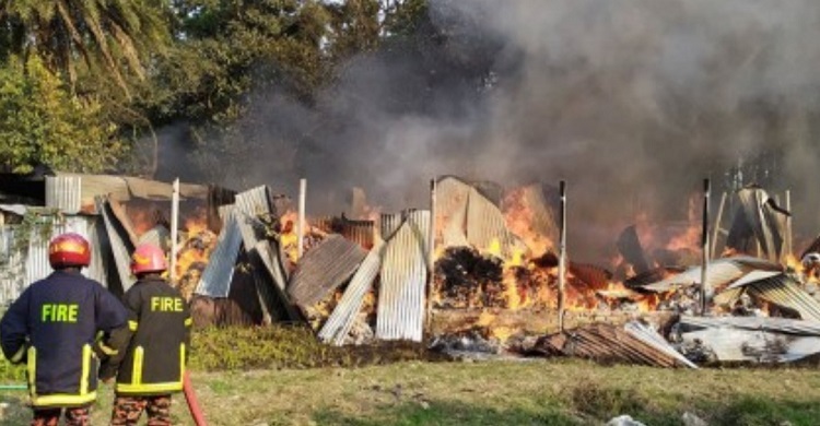 ফরিদপুরে তুলার কারখানায় অগ্নিকাণ্ড, ২৫ লাখ টাকার ক্ষতি