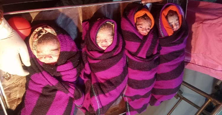 একসঙ্গে আঞ্জুয়ারার কোল আলোকিত করলো চার কন্যা