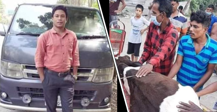 সংঘর্ষে লুটের ১৪ গরুর একটি পাওয়া গেল কলেজশিক্ষকের বাড়িতে