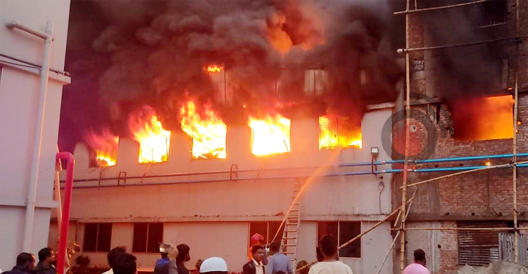 নারায়ণগঞ্জে পোশাক কারখানায় ভয়াবহ আগুন