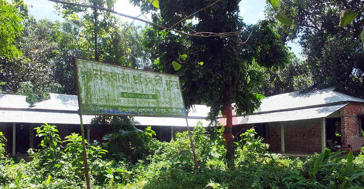 প্রতিবন্ধীদের জন্য বিদ্যালয় থাকলেও নেই শিক্ষক-শিক্ষার্থী