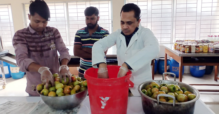 বাড়িতেই টমেটো সংরক্ষণ, অটুট থাকবে স্বাদ-গুণাগুণ