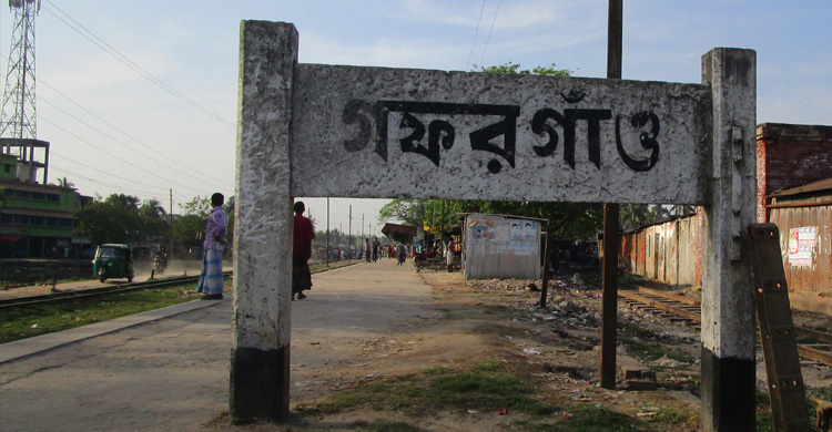 ঝড়ে চলন্ত অটোরিকশায় গাছ পড়ে নারীর মৃত্যু