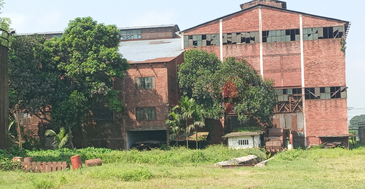 ২ বছর ধরে বন্ধ রংপুর চিনিকল, থমকে আছে লাখো মানুষের জীবিকার চাকা