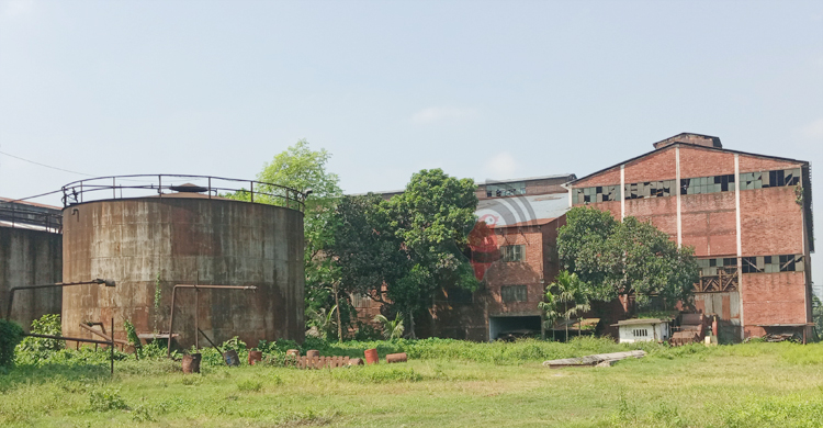 ২ বছর ধরে বন্ধ রংপুর চিনিকল, থমকে আছে লাখো মানুষের জীবিকার চাকা