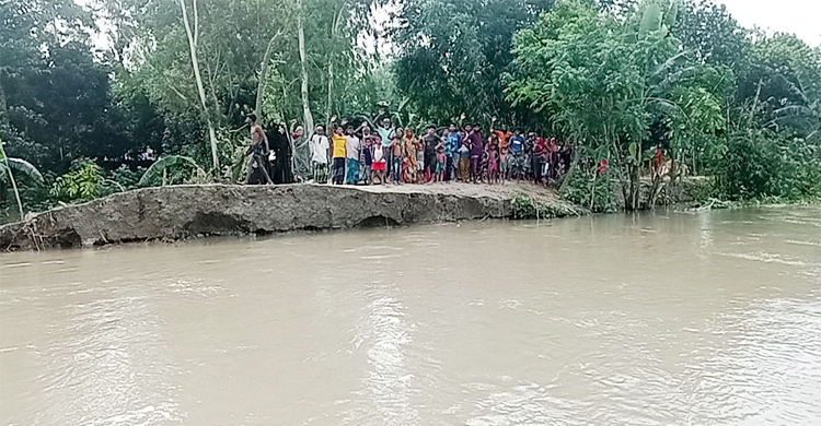 গাইবান্ধায় পানিবন্দি ৫৭ হাজার মানুষ, নদীতে শতাধিক ঘরবাড়ি বিলীন