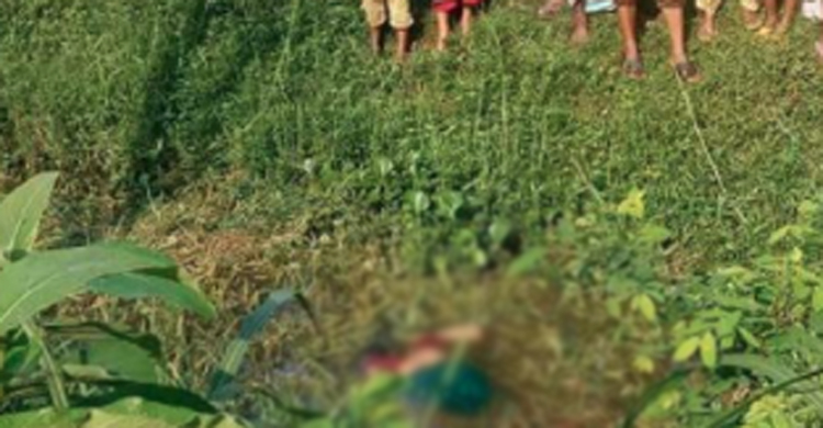 খেলতে গিয়ে ডোবায় ভেসে উঠল দুই শিশুর লাশ