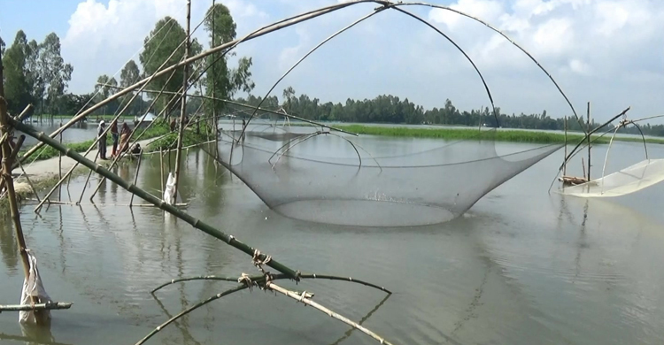 হু হু করে বাড়ছে ব্রহ্মপুত্র তিস্তা যমুনার পানি