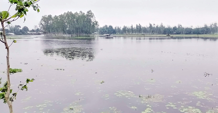 গাইবান্ধায় বাড়ছে নদ-নদীর পানি, নিম্নাঞ্চল প্লাবিত
