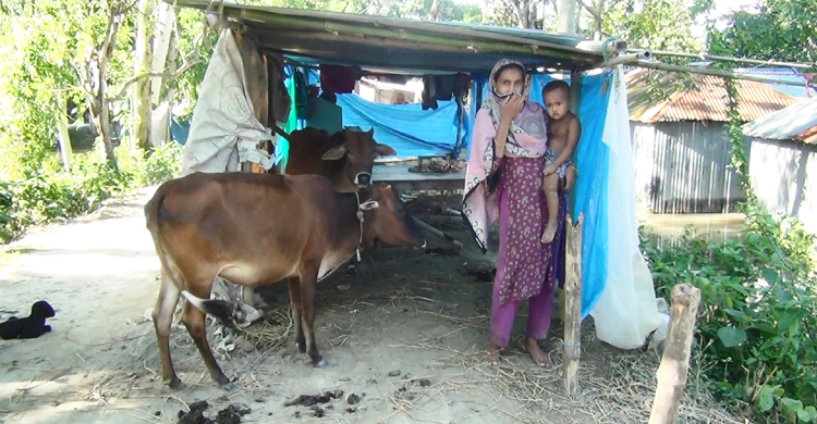 ওপরেও পানি নিচেও পানি, হামরা যামো কই