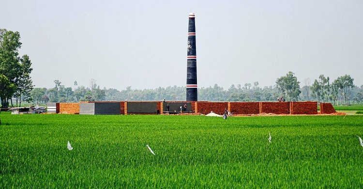 আবাদি জমিতে ইটভাটা, অভিযোগ দিয়েও মিলছে না প্রতিকার