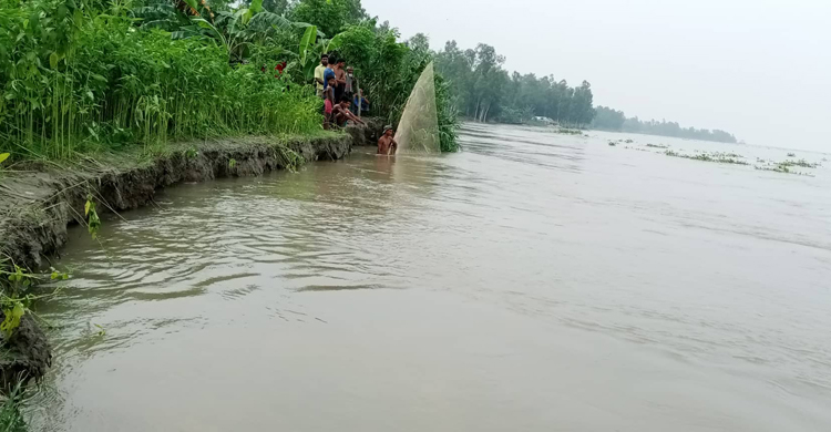 গাইবান্ধায় নদ-নদীর পানি বাড়ছে