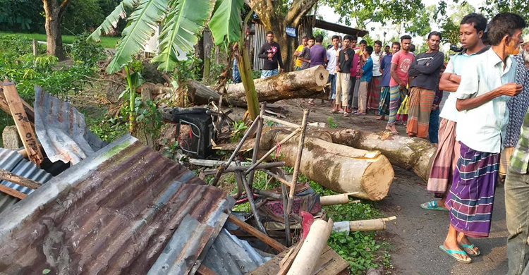 কালবৈশাখী ঝড়ে প্রাণ গেল যুবকের