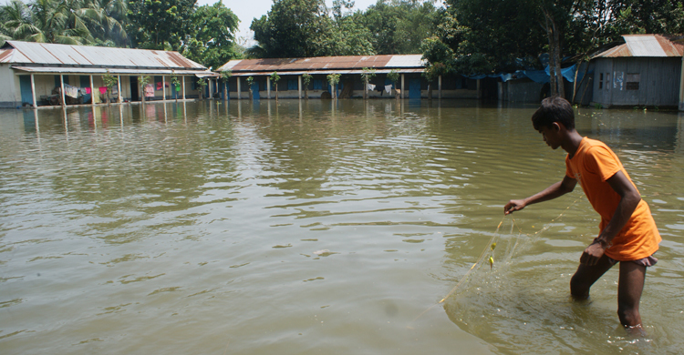 গাইবান্ধায় তলিয়ে গেছে বাড়িঘর, বিশুদ্ধ পানির সংকট