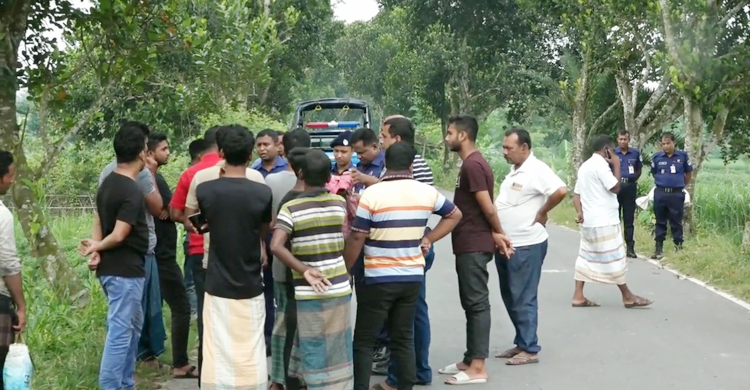 মেহেরপুরে পুলিশ ফাঁড়ির কাছে সড়কে গাছ ফেলে ডাকাতি