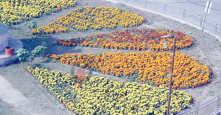 সওজের &lsquo;জাদুকরি&rsquo; উদ্যোগে ভাগাড় হয়ে গেলো ফুলের বাগান