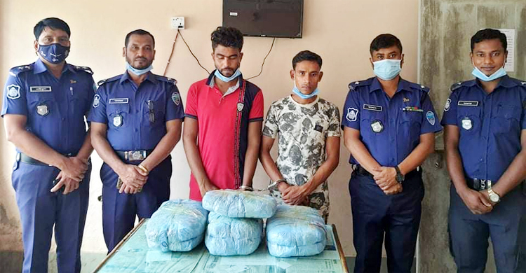 ফুলগাজীতে গাঁজাসহ ২ জন আটক