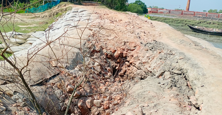 কলাপাড়ায় অকেজো অর্ধশত স্লুইসগেট, ফসল নিয়ে শঙ্কায় কৃষক