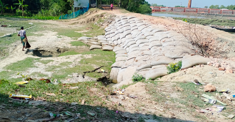 কলাপাড়ায় অকেজো অর্ধশত স্লুইসগেট, ফসল নিয়ে শঙ্কায় কৃষক