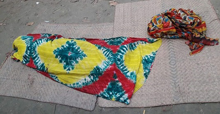 সবার সামনে চাচিকে কুপিয়ে হত্যা করল দুই ভাতিজা