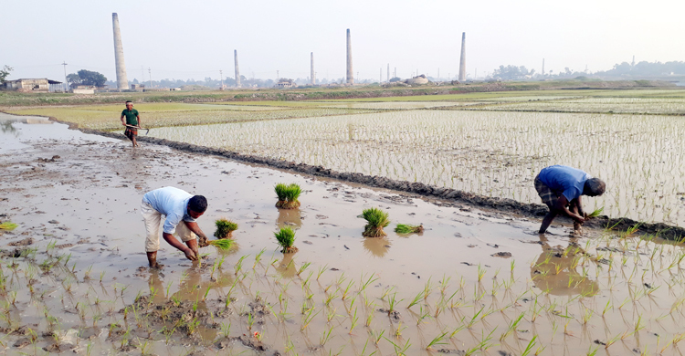 আবারও বুকভরে নিশ্বাস নিচ্ছে গাজীপুর সিটির মানুষ