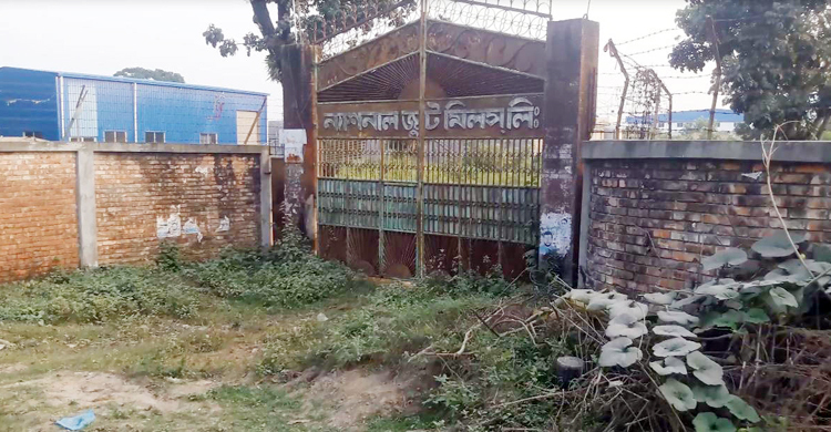 কালীগঞ্জে একদিনে হত্যা করা হয় ১৩৬ জনকে